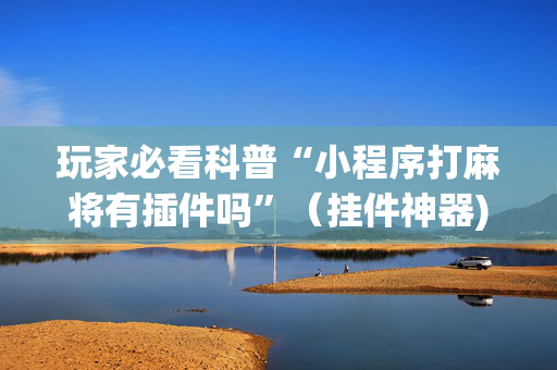 玩家必看科普“小程序打麻将有插件吗”（挂件神器)