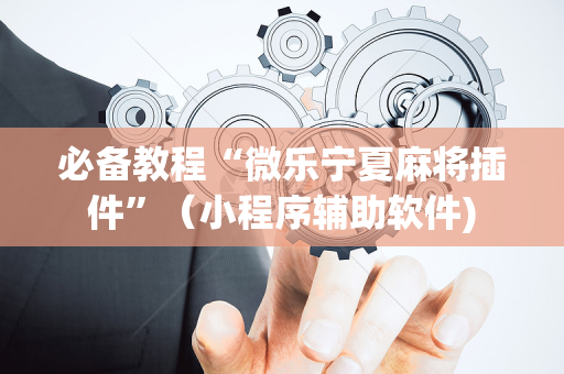 必备教程“微乐宁夏麻将插件”（小程序辅助软件)