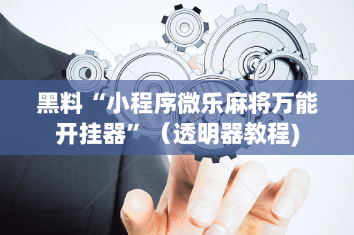 黑料“小程序微乐麻将万能开挂器”（透明器教程)