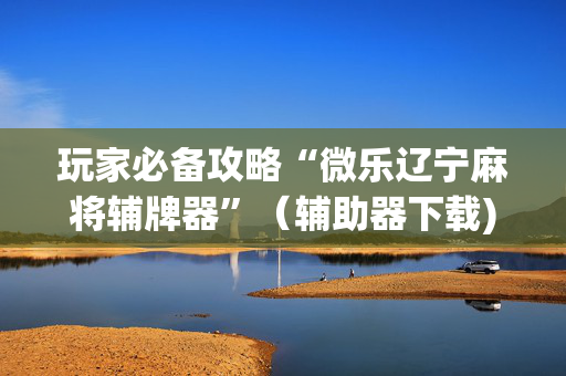 玩家必备攻略“微乐辽宁麻将辅牌器”（辅助器下载)