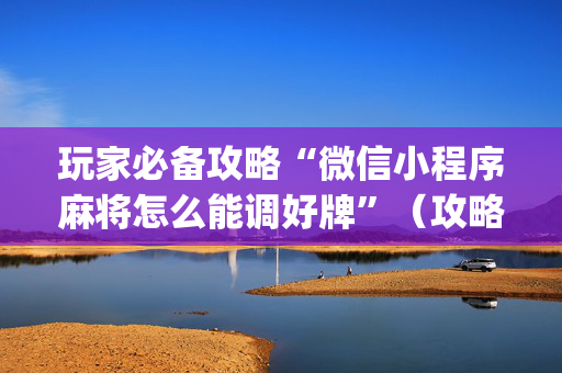 玩家必备攻略“微信小程序麻将怎么能调好牌”（攻略插件)