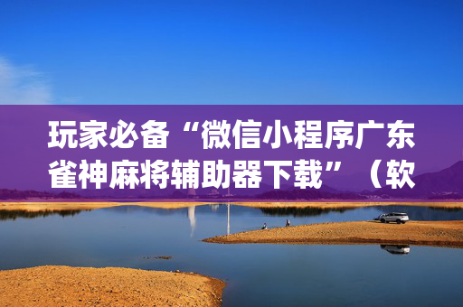 玩家必备“微信小程序广东雀神麻将辅助器下载”（软挂神器)