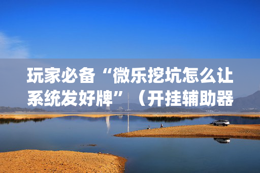 玩家必备“微乐挖坑怎么让系统发好牌”（开挂辅助器插件)