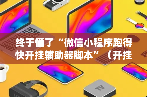 终于懂了“微信小程序跑得快开挂辅助器脚本”（开挂辅助插件)