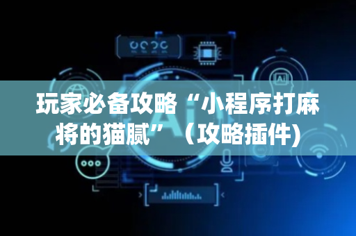 玩家必备攻略“小程序打麻将的猫腻”（攻略插件)