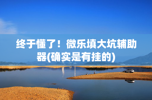 终于懂了！微乐填大坑辅助器(确实是有挂的)