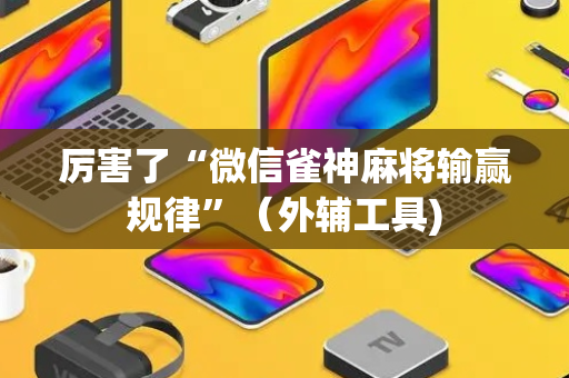 厉害了“微信雀神麻将输赢规律”（外辅工具)