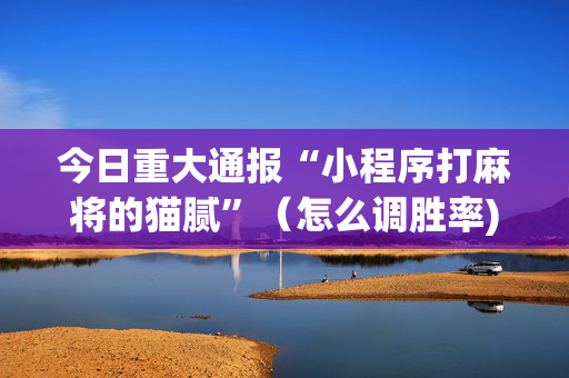 今日重大通报“小程序打麻将的猫腻”（怎么调胜率)