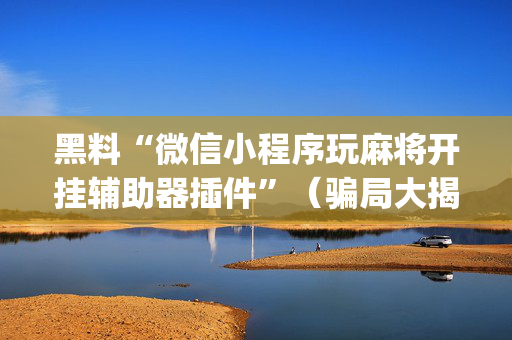 黑料“微信小程序玩麻将开挂辅助器插件”（骗局大揭秘)