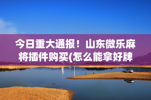 今日重大通报！山东微乐麻将插件购买(怎么能拿好牌)