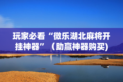玩家必看“微乐湖北麻将开挂神器”（助赢神器购买)