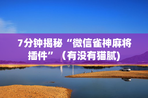 7分钟揭秘“微信雀神麻将插件”（有没有猫腻)