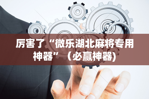 厉害了“微乐湖北麻将专用神器”（必赢神器)