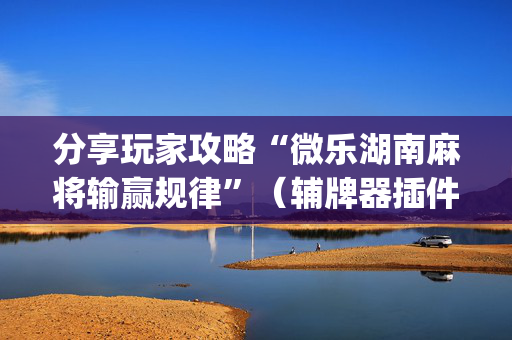 分享玩家攻略“微乐湖南麻将输赢规律”（辅牌器插件购买)