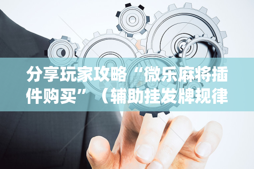 分享玩家攻略“微乐麻将插件购买”（辅助挂发牌规律)