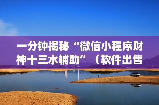 一分钟揭秘“微信小程序财神十三水辅助”（软件出售)