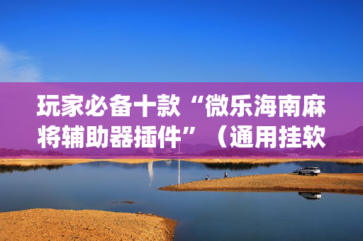 玩家必备十款“微乐海南麻将辅助器插件”（通用挂软件多少钱)