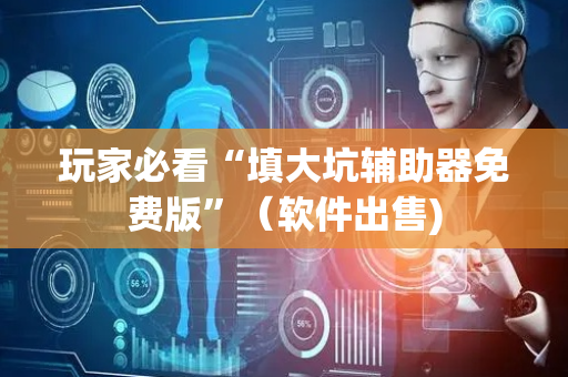 玩家必看“填大坑辅助器免费版”（软件出售)