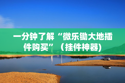 一分钟了解“微乐锄大地插件购买”（挂件神器)