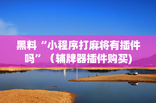 黑料“小程序打麻将有插件吗”（辅牌器插件购买)