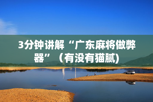 3分钟讲解“广东麻将做弊器”（有没有猫腻)