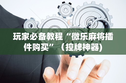 玩家必备教程“微乐麻将插件购买”（控牌神器)
