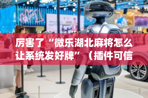 厉害了“微乐湖北麻将怎么让系统发好牌”（插件可信吗)