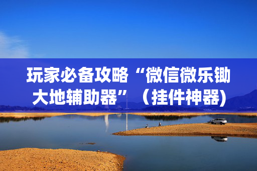 玩家必备攻略“微信微乐锄大地辅助器”（挂件神器)