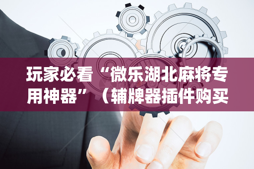 玩家必看“微乐湖北麻将专用神器”（辅牌器插件购买)