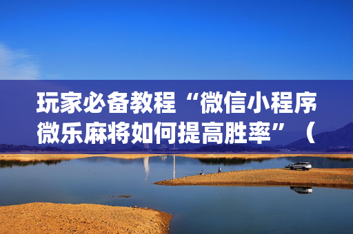 玩家必备教程“微信小程序微乐麻将如何提高胜率”（挂件神器)