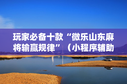 玩家必备十款“微乐山东麻将输赢规律”（小程序辅助软件)