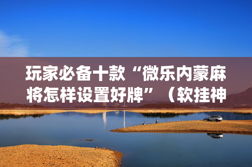 玩家必备十款“微乐内蒙麻将怎样设置好牌”（软挂神器)