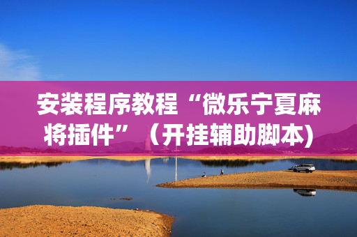 安装程序教程“微乐宁夏麻将插件”（开挂辅助脚本)
