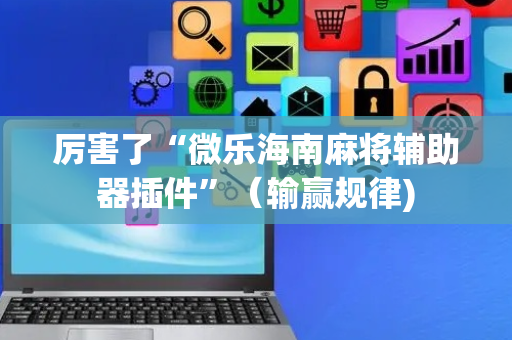厉害了“微乐海南麻将辅助器插件”（输赢规律)