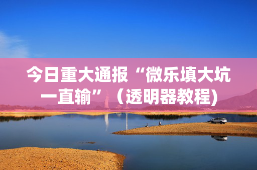 今日重大通报“微乐填大坑一直输”（透明器教程)