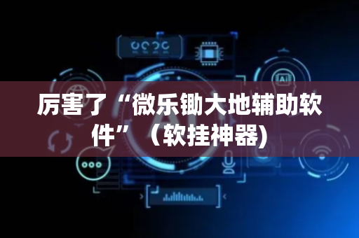 厉害了“微乐锄大地辅助软件”（软挂神器)