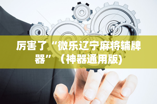 厉害了“微乐辽宁麻将辅牌器”（神器通用版)