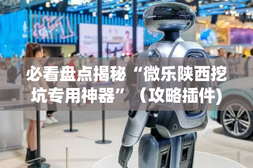 必看盘点揭秘“微乐陕西挖坑专用神器”（攻略插件)