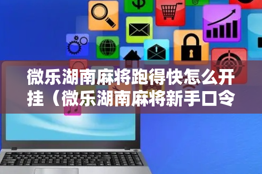 微乐湖南麻将跑得快怎么开挂（微乐湖南麻将新手口令）