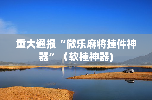 重大通报“微乐麻将挂件神器”（软挂神器)